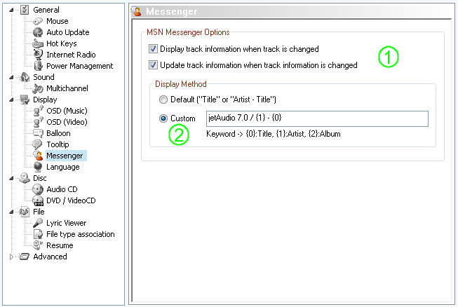 jetAudio Preferences / Display MSN Messenger Settings